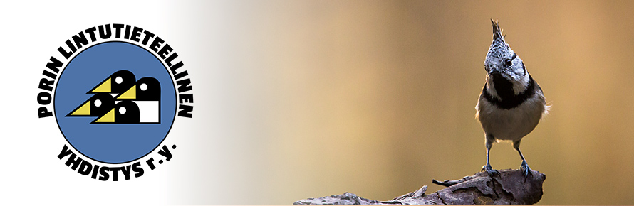 header photo
